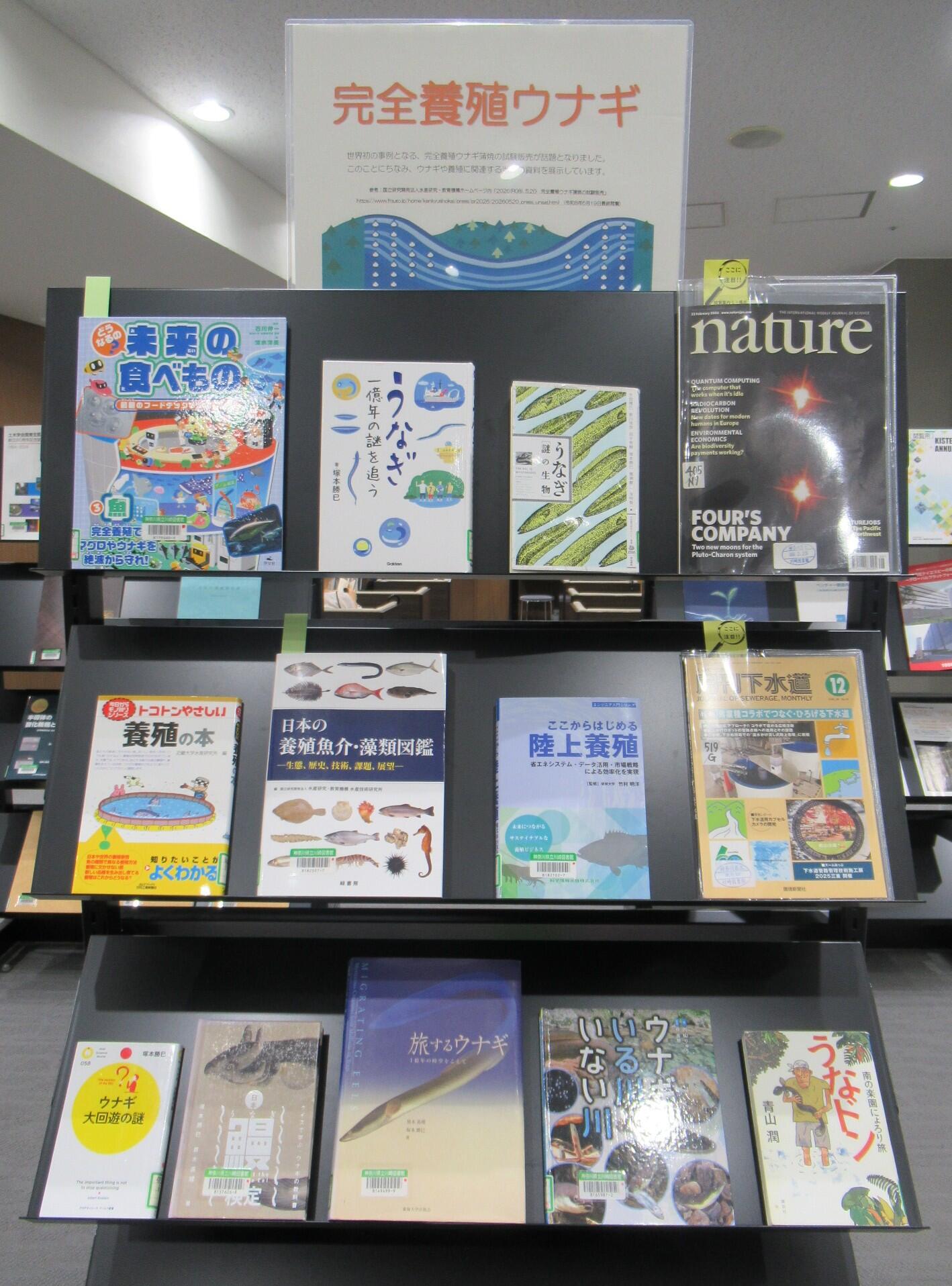 閲覧室内ミニ展示「完全養殖ウナギ」の写真