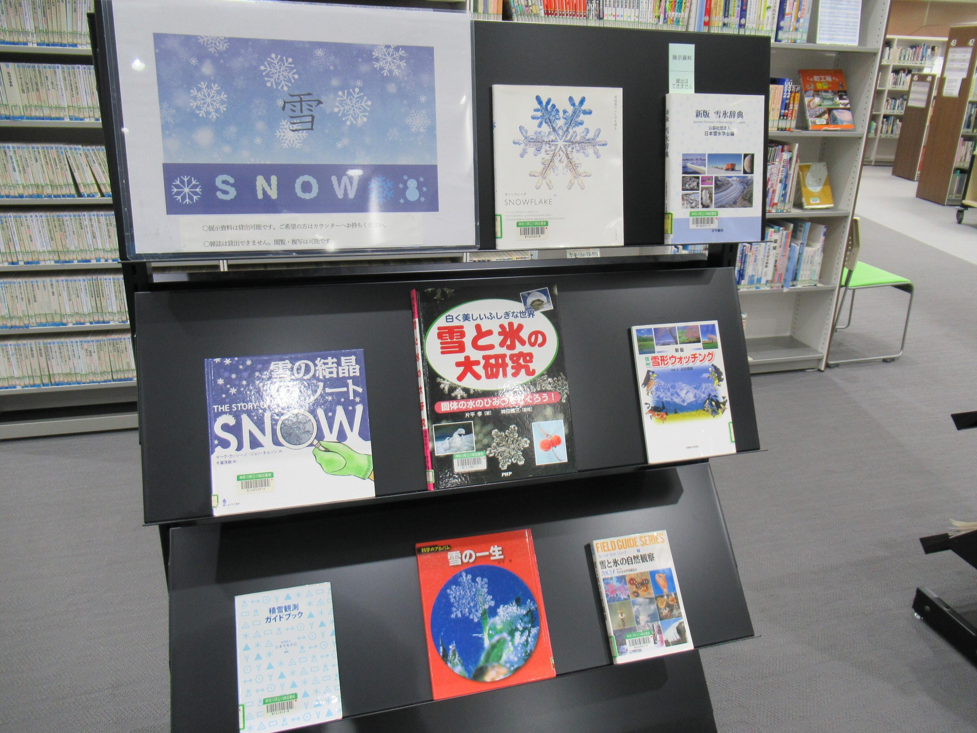 展示(雪) 