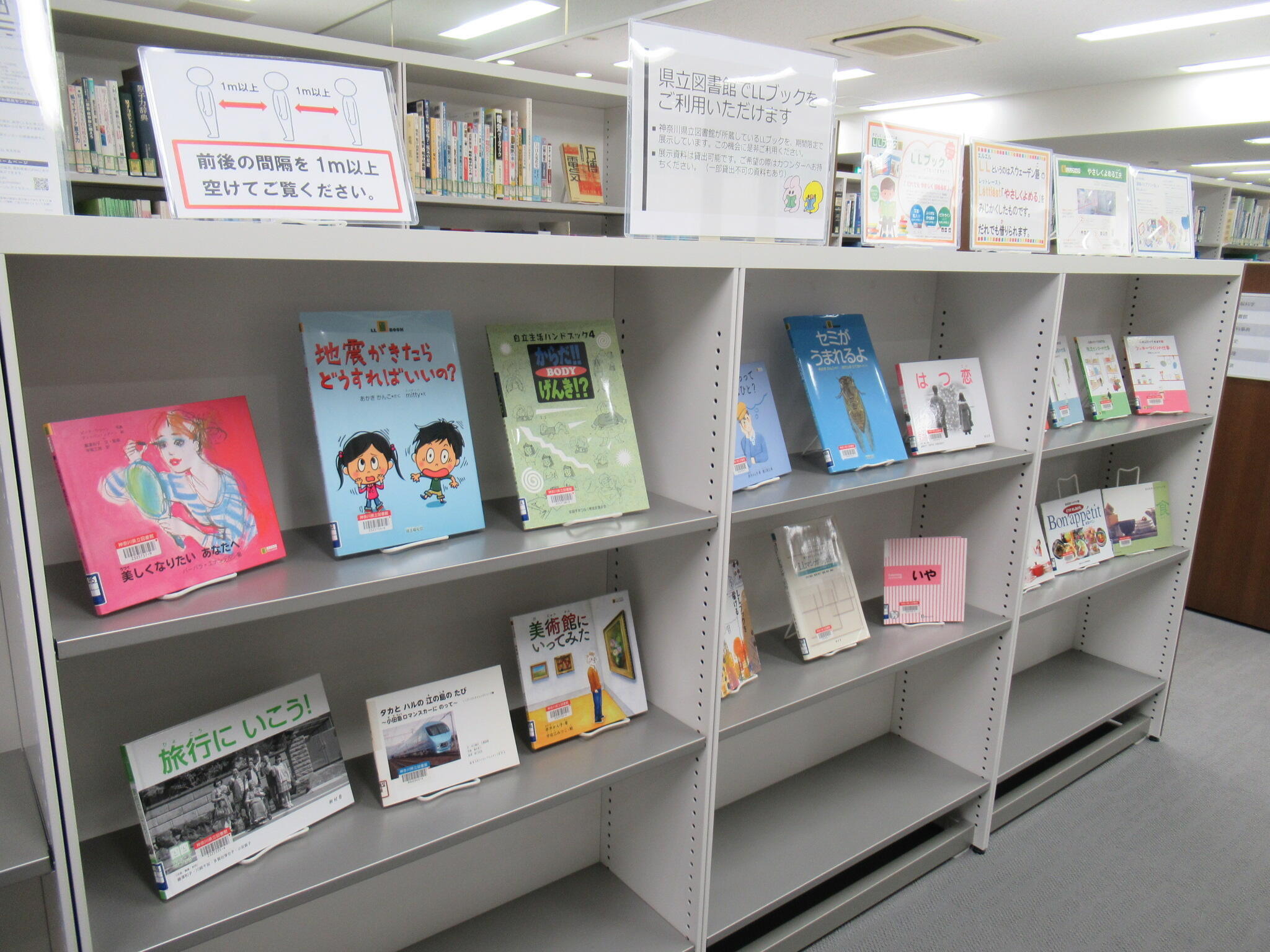 展示(LLブック)
