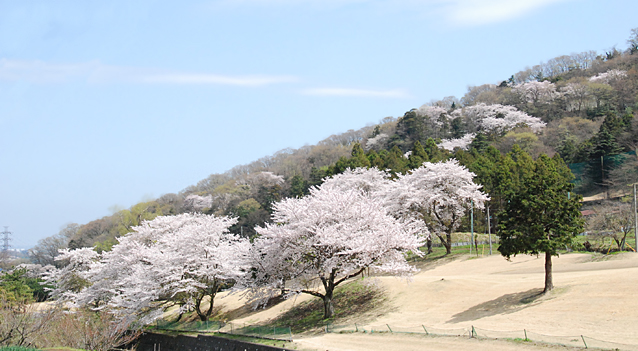 大山灯籠