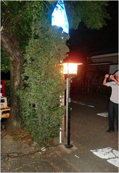 夜間の様子