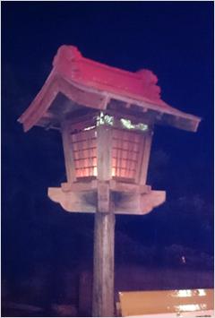 夜間の様子