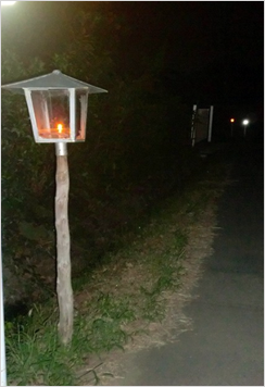 夜間の様子