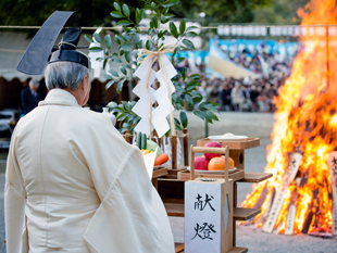 阿夫利神社火祭薪能