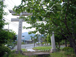 春、大山遠景