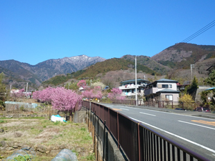 春、大山遠景
