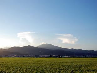 夏、大山遠景