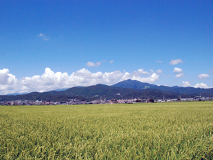 夏、大山遠景