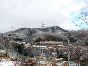 冬、大山遠景