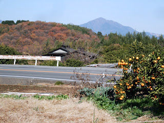 v12.jpg