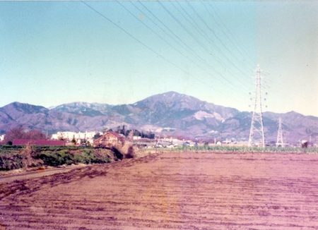 v74.jpg