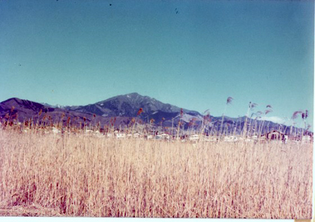 v75.jpg