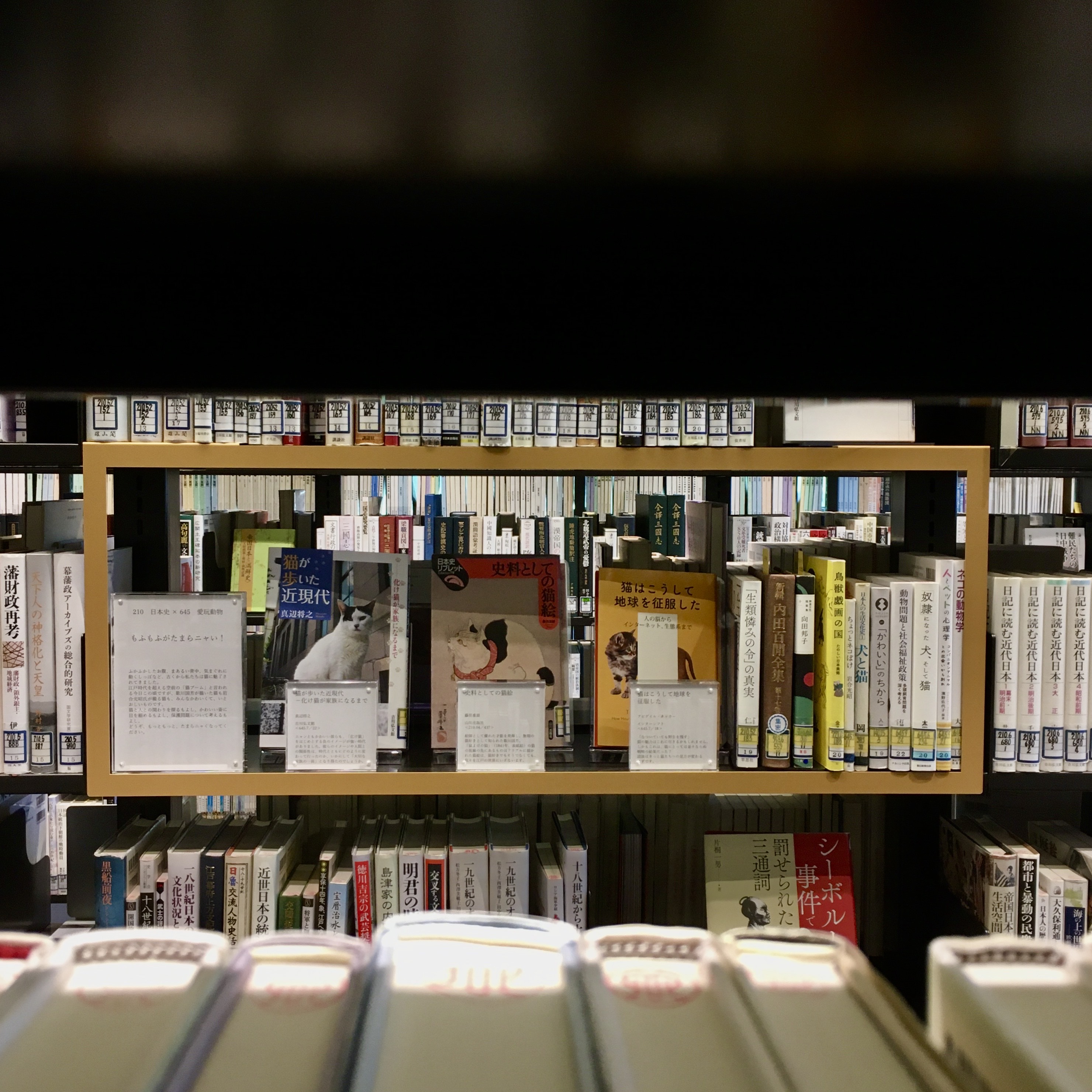 神奈川県立図書館本館 司書箱画像