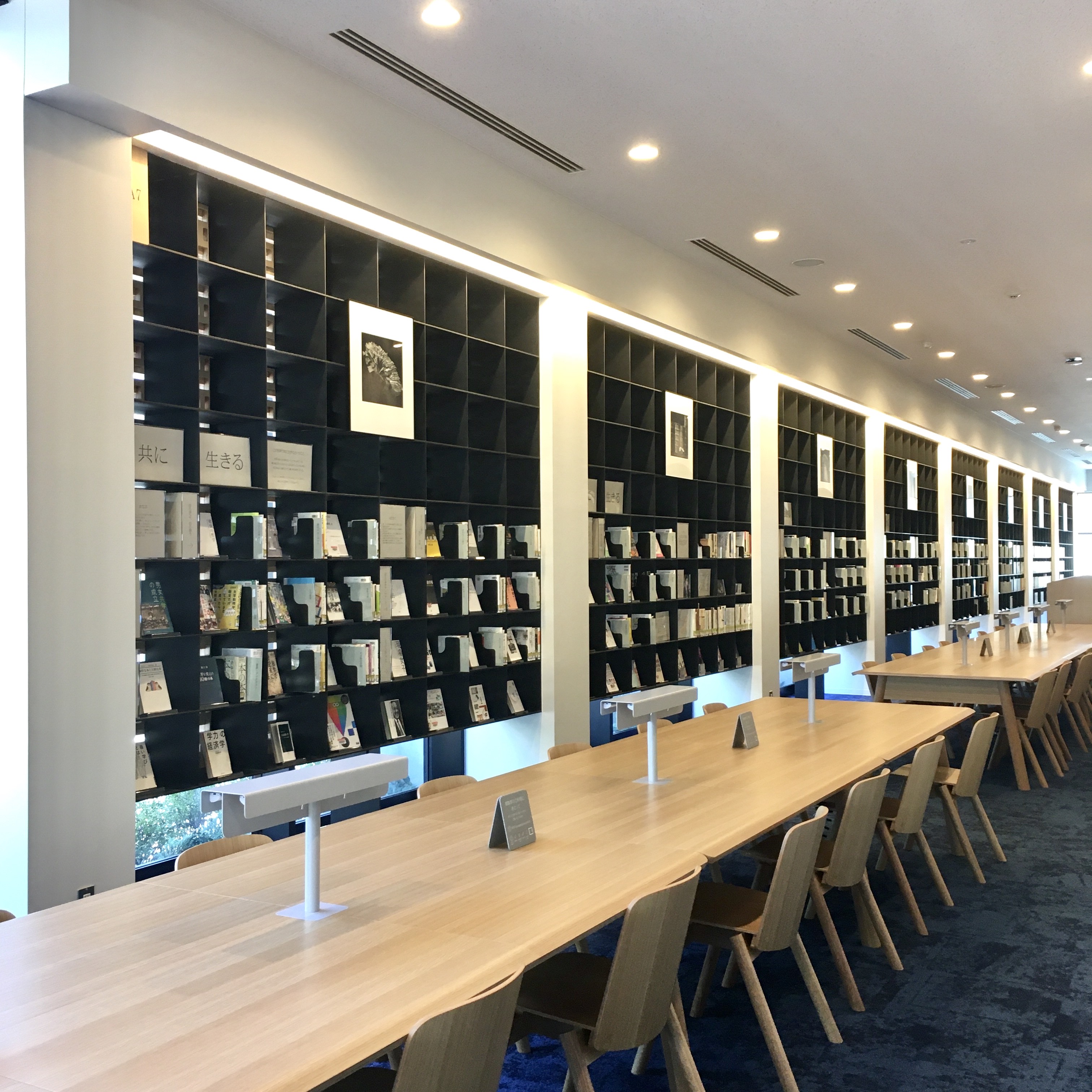 神奈川県立図書館本館窓面書架展示 共に生きる画像