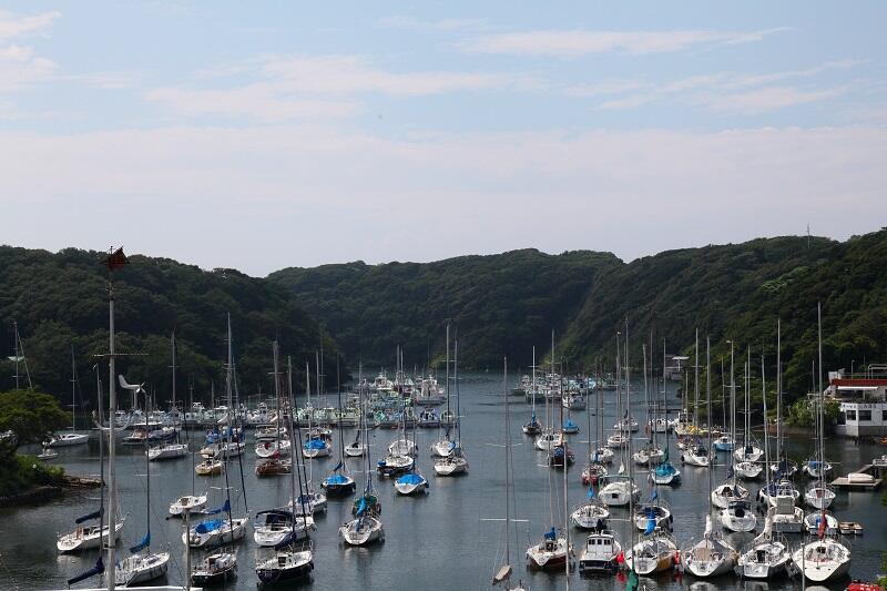 油壷